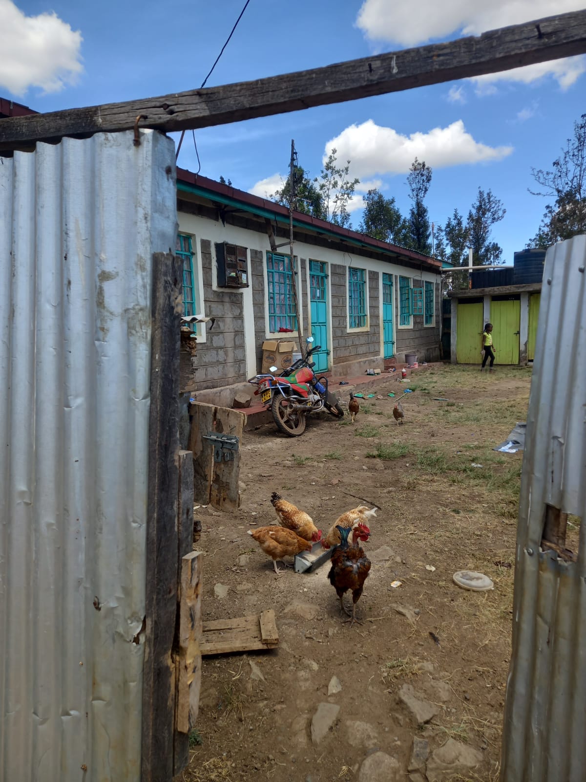 Kenol Property