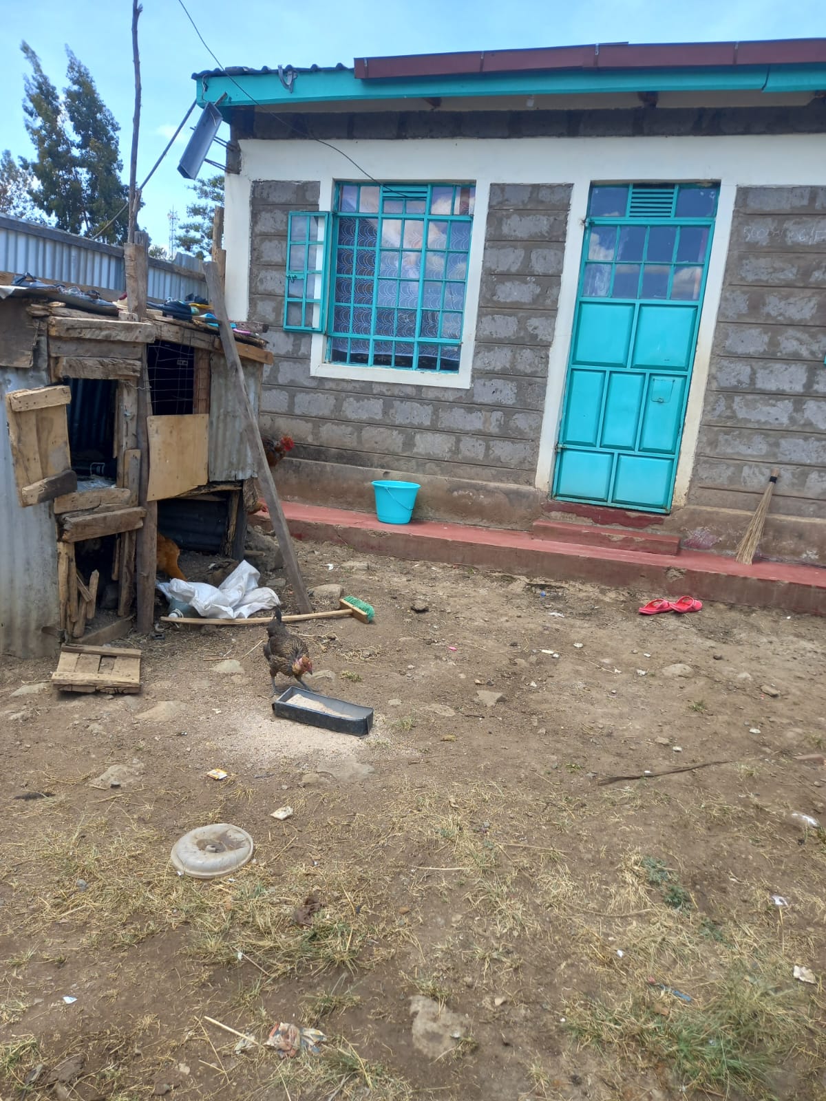 Kenol Property