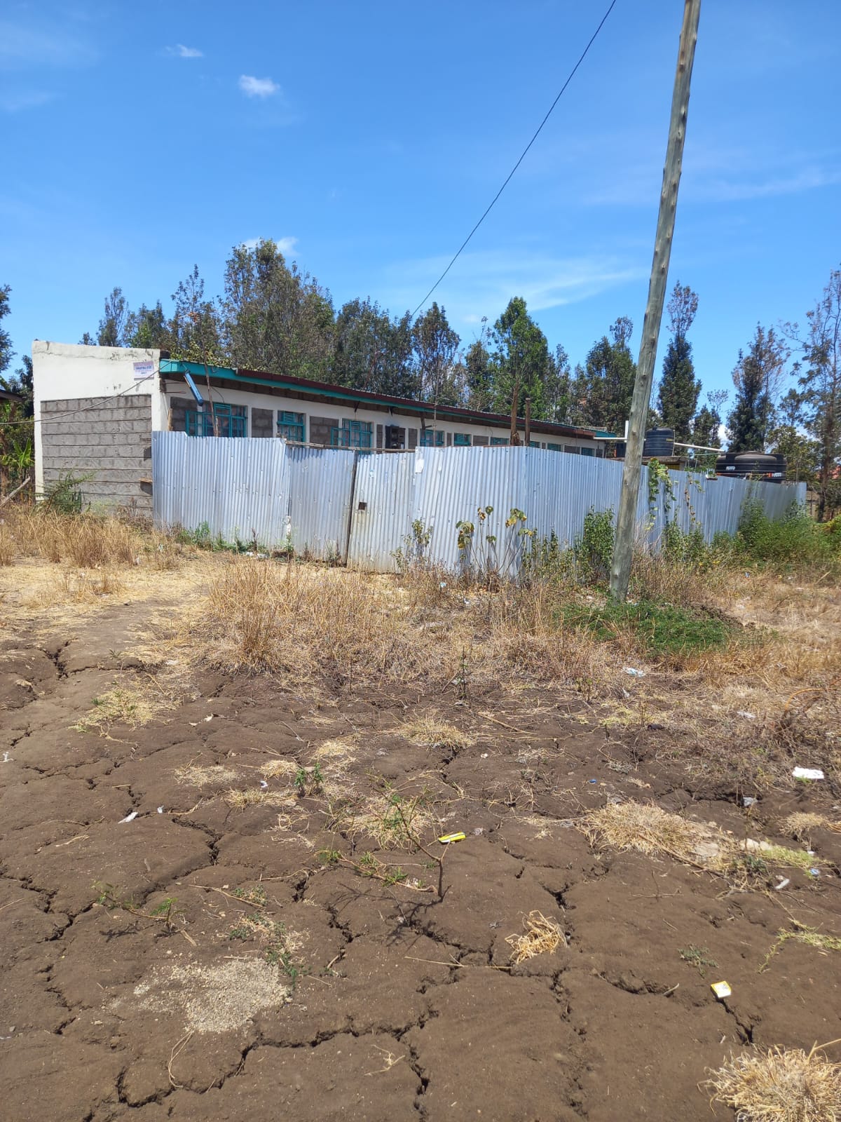 Kenol Property