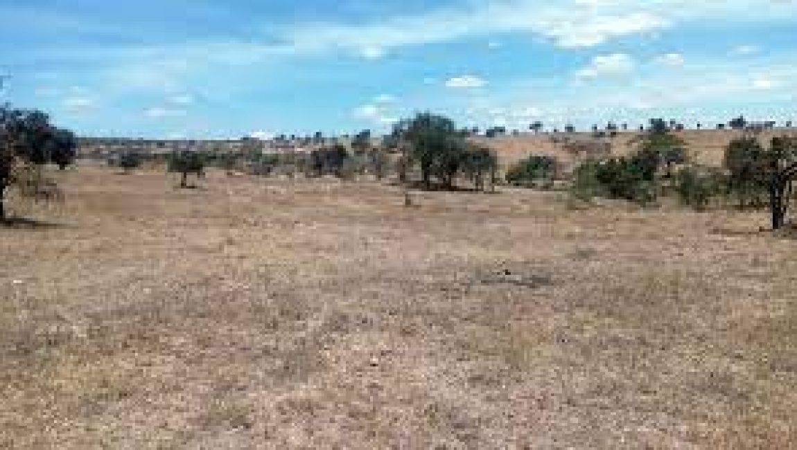 Maanzoni Plot