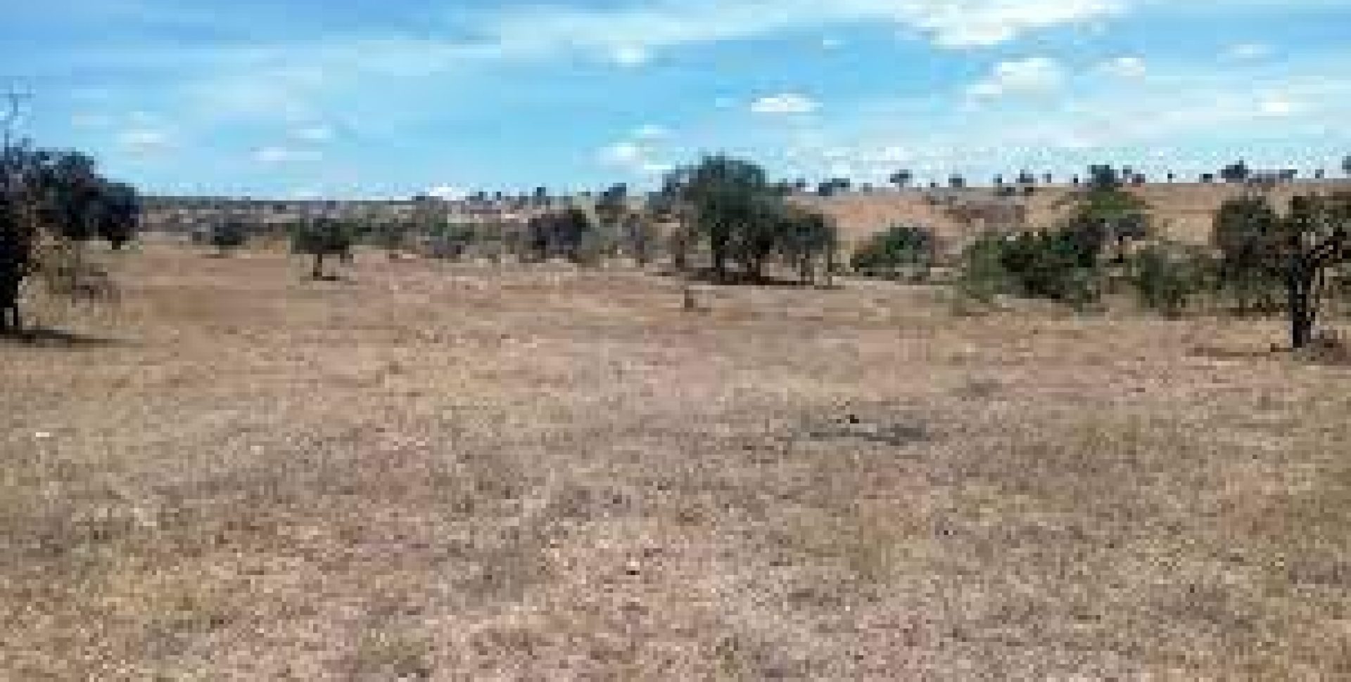 Maanzoni Plot