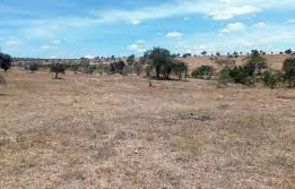 Maanzoni Plot